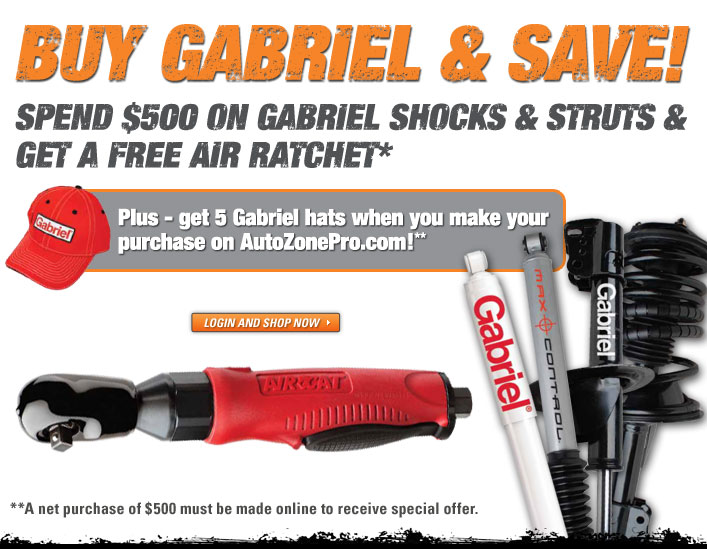 autozonepro-buy-gabriel-save